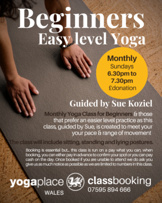 Sues Easy Level Yoga monthly at Yoga Place Abertawe