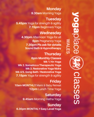 Yoga, Pregnancy Yoga, Yin, Somatics, Yoga Nidra, Baby Yoga, Beginners Yoga, Easy Yoga, Gentle Yoga, Lunch Time Yoga here at Yoga Place Abertawe